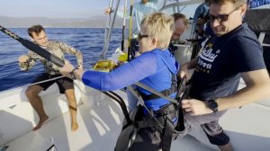 Почему Голубой Тунец Такой дорогой ?