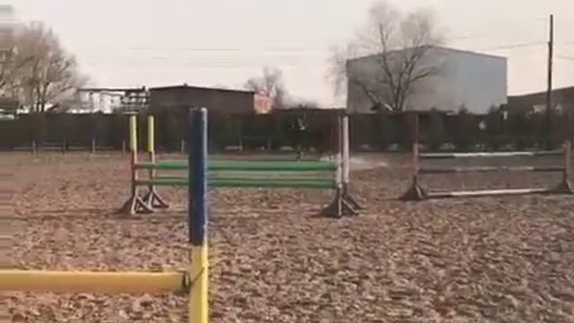 Связка 50 см Конкур смотреть онлайн