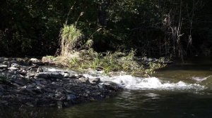 Рыбалка на Красивой реке. Дальний Восток.