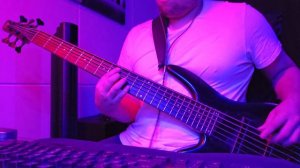 IN BARDO - BODHISATTVA (BASS PLAYTHROUGH by DICHT)