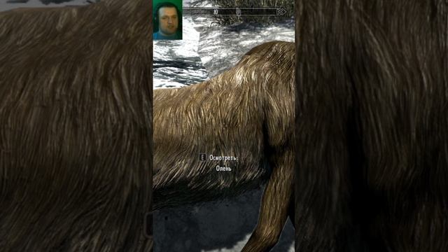 Немного о Колдовстве #gaming #games #skyrim #врек #топ #тренд #game #скайрим