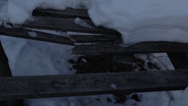 Canon m50 + 22mm f2 | CINEMATIC 4K смотреть онлайн