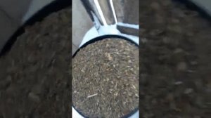 Отходы семечек  подсолнуха.КОРМ и ПОДСТИЛКА