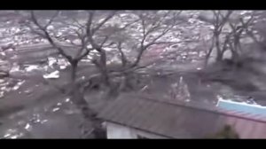 Цунами в Японии 2011