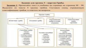 Многообразие и значение растений, животных и грибов  (часть 1)