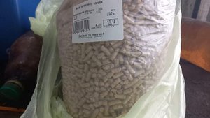 #Чем я кормлю #кроликов?! Порода #Калифорния.Очень спокойный характер #быстро растут.