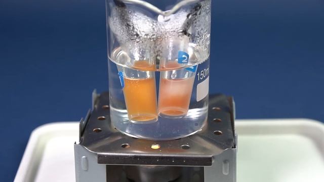 «Жиры» из набора «Белки, жиры и углеводы» смотреть онлайн