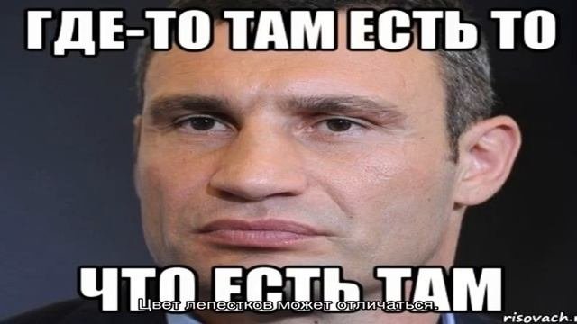 Имбирь — выращивание в открытом грунте из корня на даче и в горшке в домашних условиях: посадка, у.