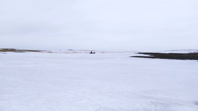 Егор зажигает по плотному снегу на мотособаке Снежок Д 9лс смотреть онлайн