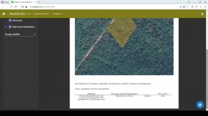 NextGIS Лес – Приложение 4 (приказ Минприроды № 539 от 30.07.2020)