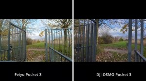 DJI Pocket 3 vs. Feiyu Pocket 3 - You will be surprised