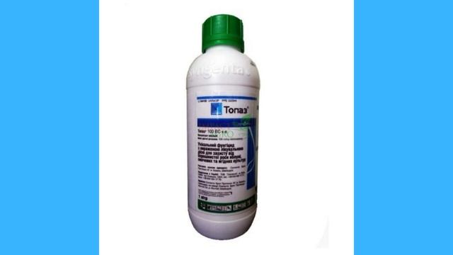 ФИТОФТОРА ПОГИБНЕТ СРАЗУ, САМЫЙ ЛУЧШИЙ РЕЦЕПТЫ смотреть онлайн