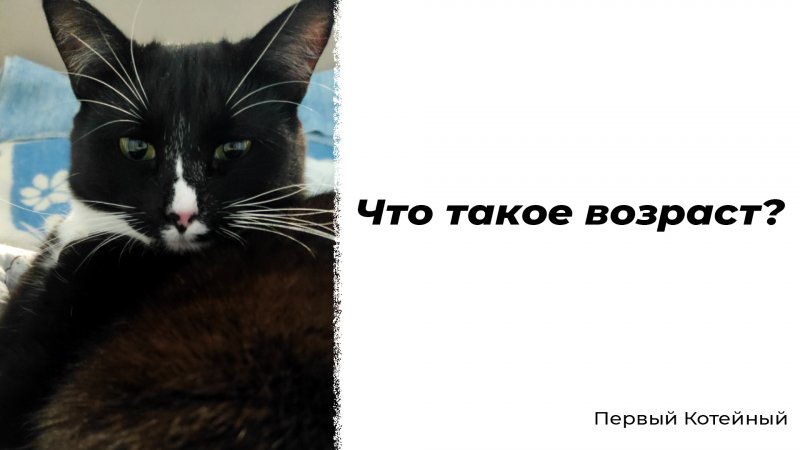 Что такое возраст? ?️