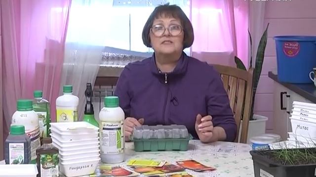 Разбор главных ошибок при посеве. Дачные советы