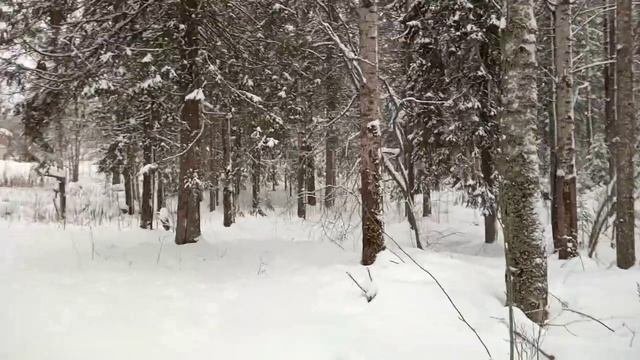 Заброшенный пионерлагерь под Петрозаводском