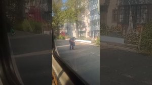 поездка на автобусе паз 32053