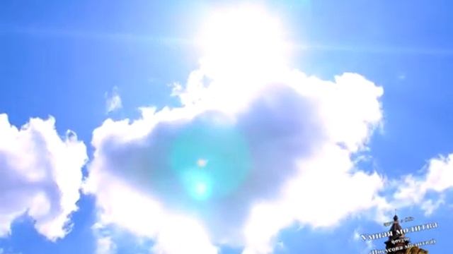 Ведение и неведение Неведение наказуемо.mp4 смотреть онлайн