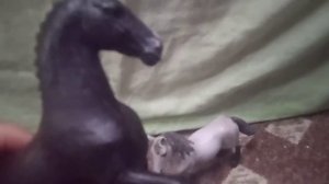 типы начинаючих шляйхеров  1 часть