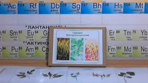 Видео обзор - Гербарий Сельскохозяйственные растения