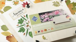 Как засушить гербарий?