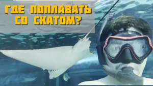 Место, где можно поплавать со СКАТОМ | Парк Себу Ошен Филиппины 2024 | Себу Лапу-Лапу Филиппины