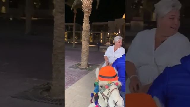 ?УПАЛИ С ВЕРБЛЮДА??? смотреть онлайн