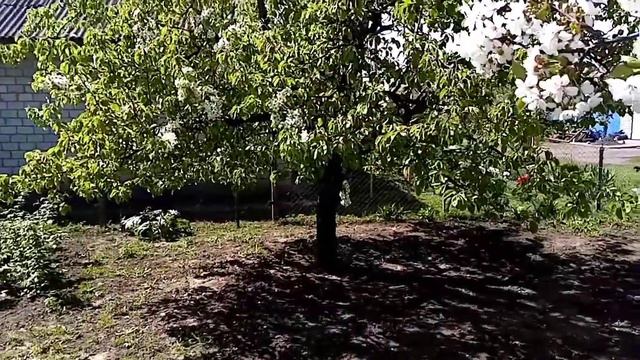 Домик окнами в сад.. смотреть онлайн