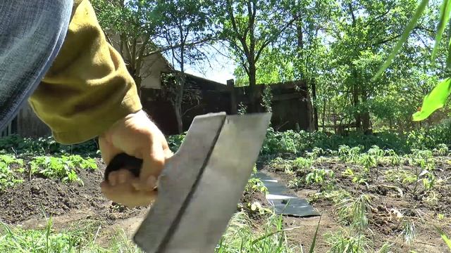 Теплые грядки. Аккумулятор тепла для РАССАДЫ