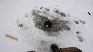 рыбалка на хапуги удачная рыбалка рекомендую посмотреть