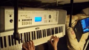 SampleTank 3 - Yamaha DGX 230