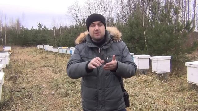 #НАКАРАНДАШ   Пчеловодство +для начинающих  пчеловодство начало Пчеловод любитель