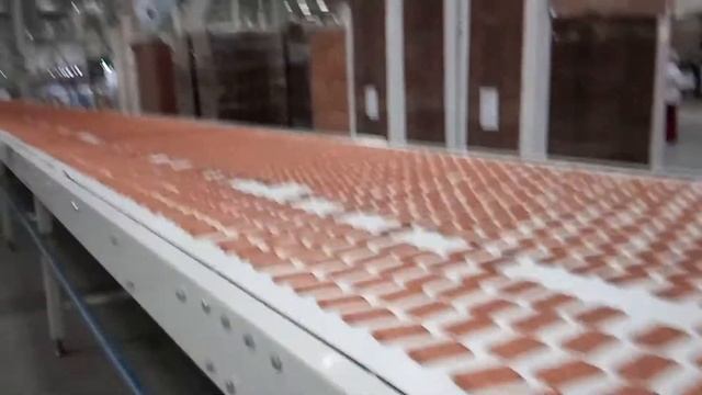 Линия охлаждения печенья смотреть онлайн