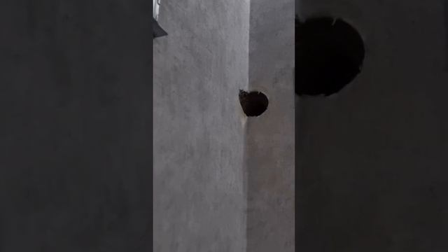 монтажкондиционера.mp4