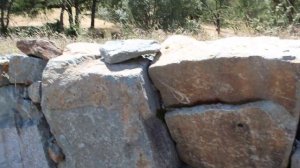 Blue Oak Wall Rock and Boulders