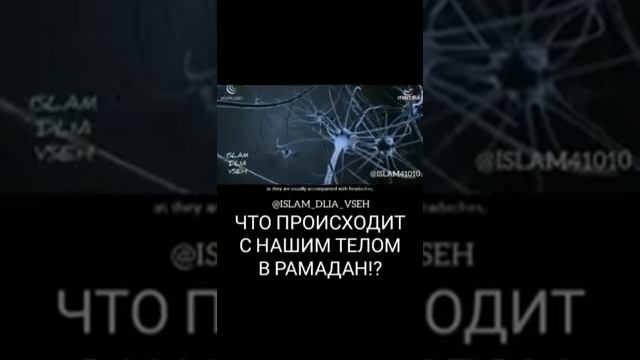 Что происходит с нашим телом когда в Рамадан смотреть онлайн
