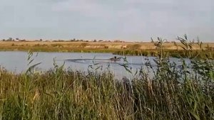 Лодочный мотор стрела 5