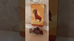 ✨?✨ARIES - SPARK UP THAT CONFIDENCE! An Oracle Message For Everyone!