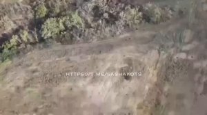 V Отважные 20220829_738.mp4.mov.mp4