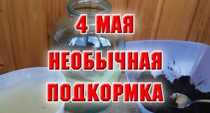4 мая. Необычная подкормка из отходов