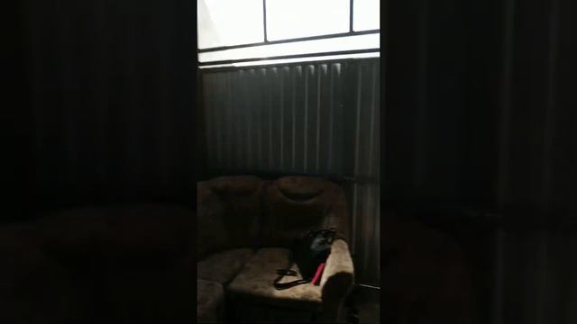 Фермерская усадьба в с.Колодное, Курская область смотреть онлайн