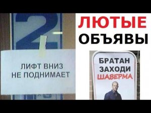 Лютые ОБЪЯВЛЕНИЯ. Купи яйцо и получи луковую шелуху в подарок!!!