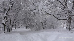 Эдгар Туниянц - В снежной тишине