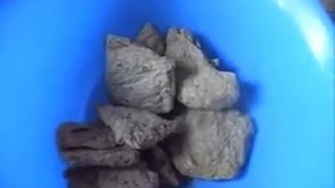 Соя. Соевые биточки