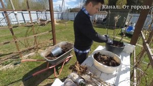 Питомник Сады Урала, распаковка посылки с саженцами которая пришла почтой