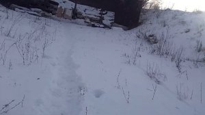 отстрел дроби 7 . 28 гр и пули стрела и спутник . бекас 16 м авто суж 0.5