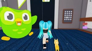 КАК ПОЛУЧИТЬ КОСТЮМ СОВЫ, ТЕННИСНУЮ РАКЕТКУ И КЕПКУ БЕСПЛАТНО В СВОЙ ИНВЕНТАРЬ/Roblox