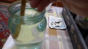 Как вырастить крепкую рассаду томатов. Сроки посева, уход, подкормки до высадки в грунт.