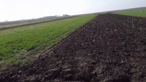 Посадка картофеля самодельным трактором