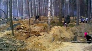 Добыча янтаря на Украине