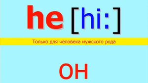Учим английские местоимения: I, he, she, it, we, you, they
